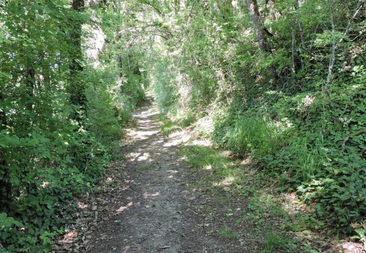Promenades gourmandes à Celles