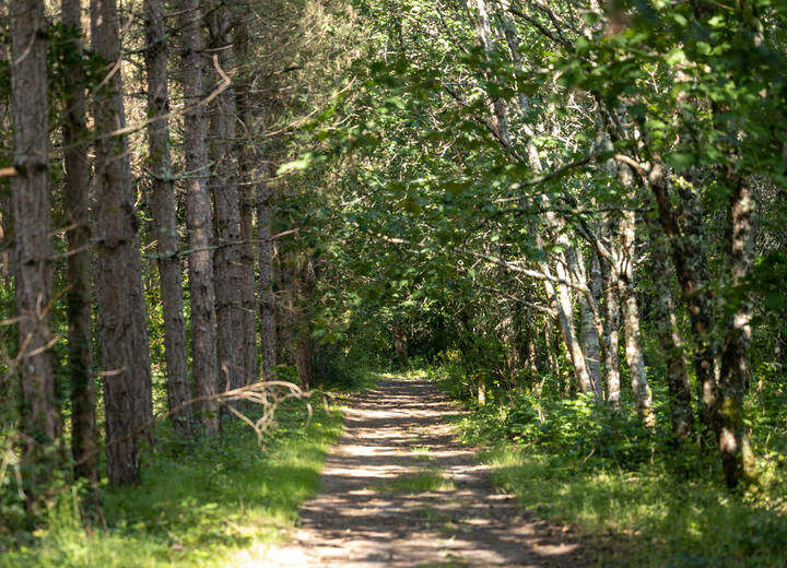 Sentier Botanique de la Roche-Chalais