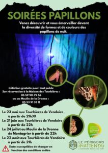 Soirée papillon