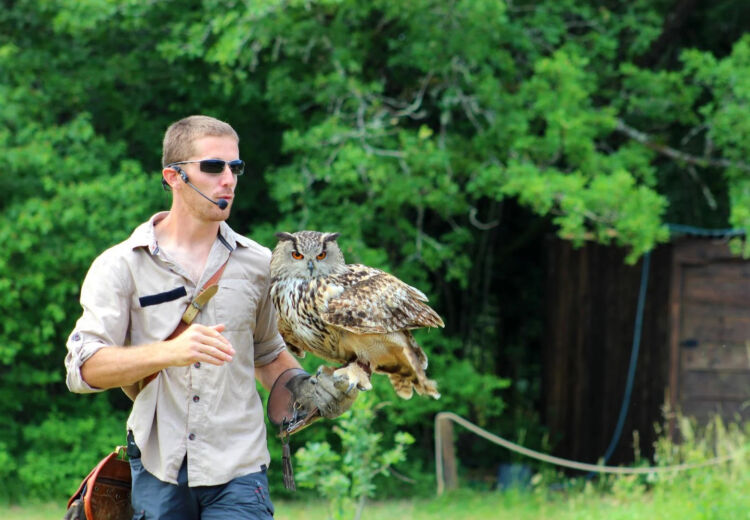 Spectacle rapaces