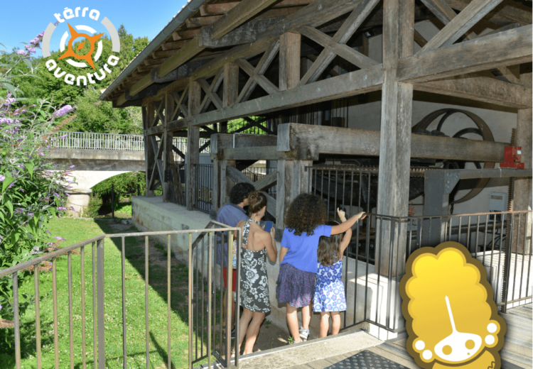 Terra Aventura -  Balade en Tocane (2)