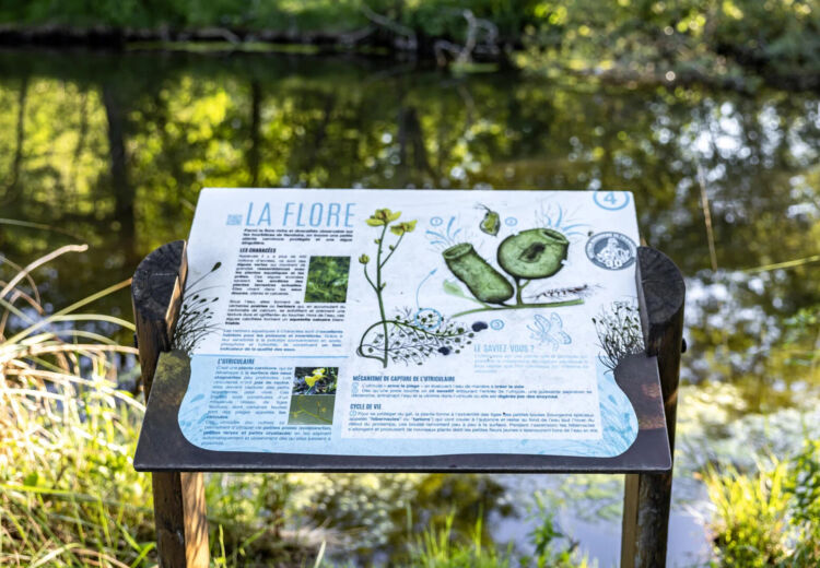 Tourbières de Vendoire