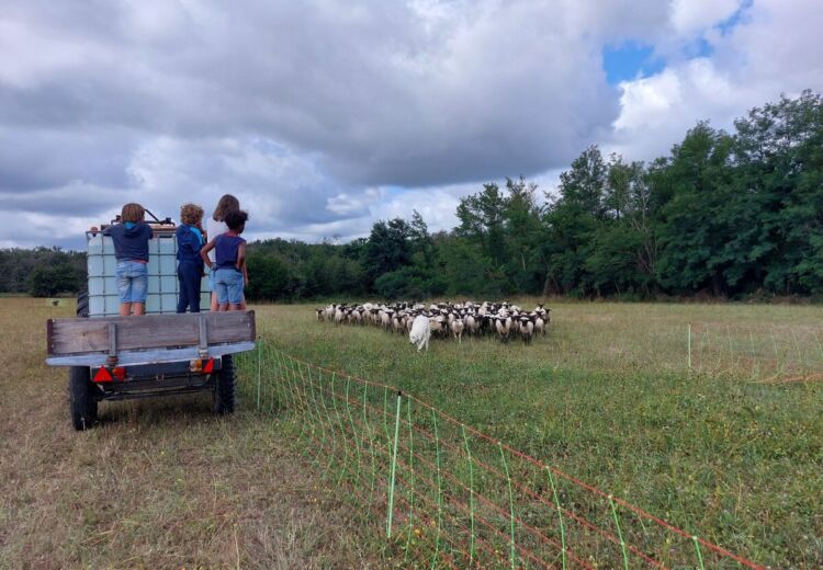 Visites avec enfants ferme cinsi