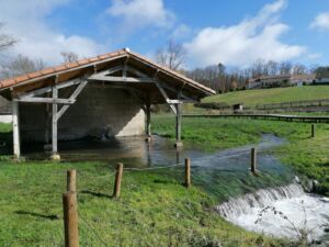 Zone Humide du Lavoir du Gau