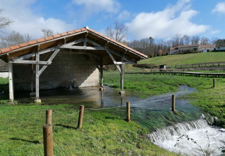 Zone Humide du Lavoir du Gau