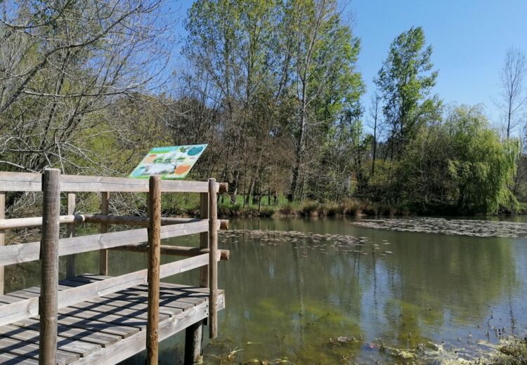 Zone Humide du Lavoir du Gau