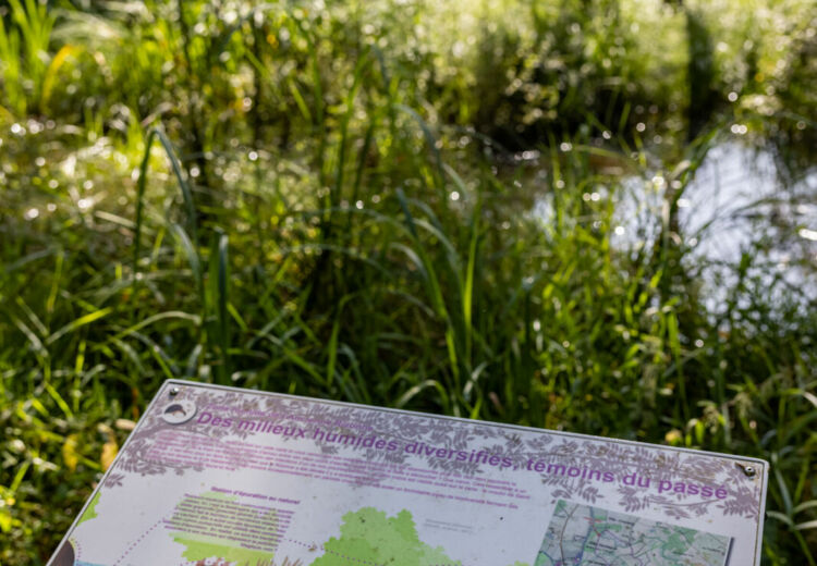 Zone natura 2000