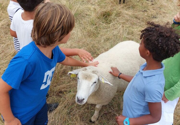 activité enfants ferme cinsi