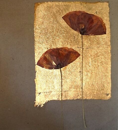 coquelicot sur feuille