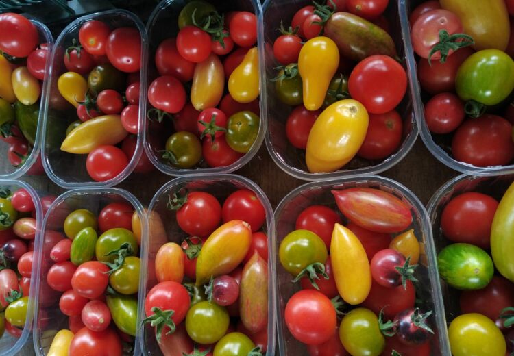 diverses tomates