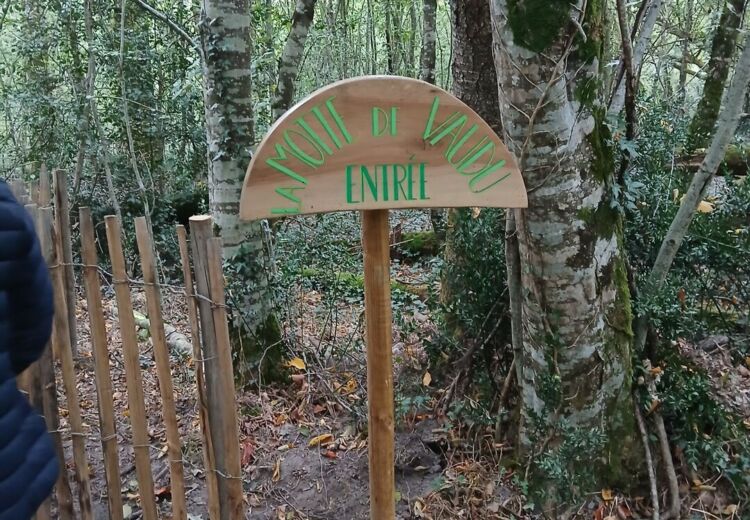 entrée motte de Vaudu