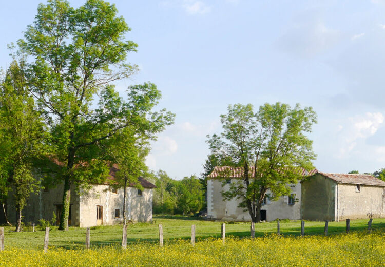 lamouliinasse--1-