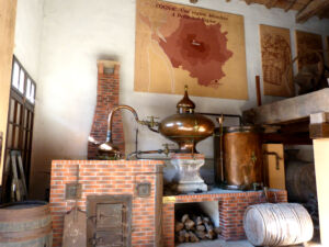 musee cognac (2)