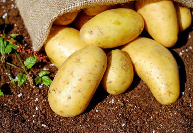 potatoes-1585075_960_720