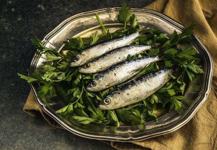 sardines-1468422_960_720
