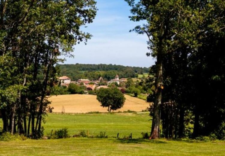 vue panoramique